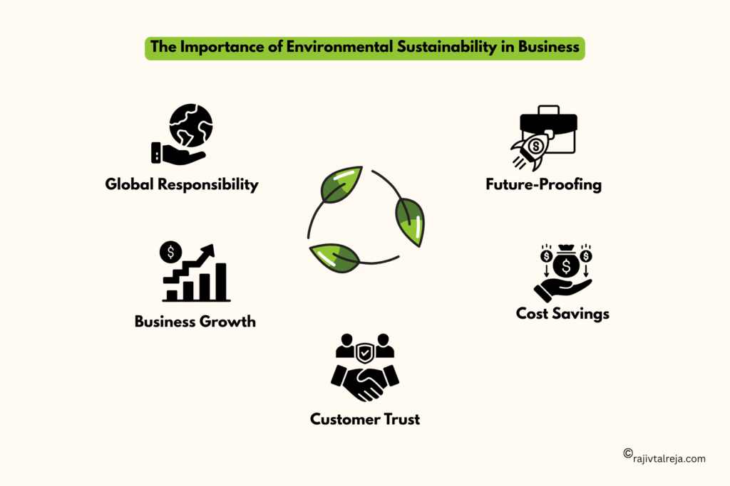 The Importance of Environmental Sustainability in Business